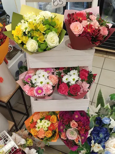 Kwiaciarnia Mackiewicza Amelia